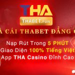 TJ77 – VN.TJ77 Link đăng nhập chơi Casino tại THABET