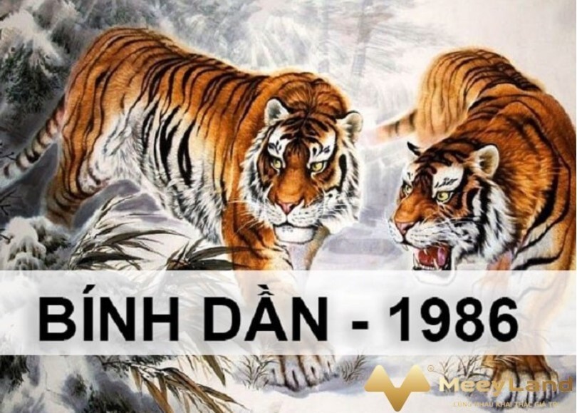 Tuoi Binh Dan Nam 2022 2